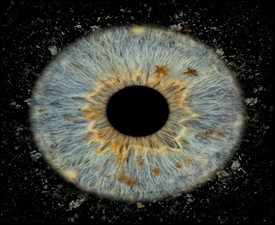 Turn your eyes into a unique picture with iris photography in Plovdiv