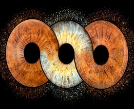 Special and meaningful gift with Iris photography in Pleven - three irises in a frame