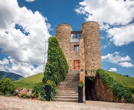 One night for two in Chateau Copsa