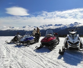 Winter adventure - Snowmobile ride on Vitosha or Rila mountain