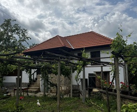 Нощувка за до 7 души в къща за гости край Ловеч + Еквитерапия