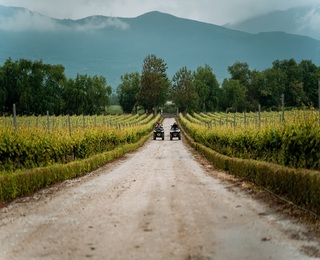 Off-road adventure: 2-hour high-end ATV tour for two on one ATV near the village of Ustina, Plovdiv