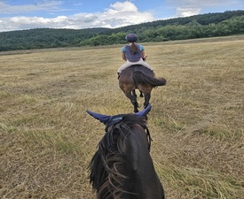 Езда сред природата за начинаещи в с. Батошево - за двама