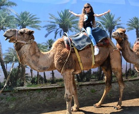 С усещане за Египет: Езда на камила за двама + 1 дете до 12 г. в Камел парк, Слънчев бряг