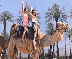 С усещане за Египет: Езда на камила за двама + 2 деца до 12 г. в Камел парк, Слънчев бряг