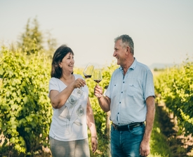 В дома на истинското вино с Тур и дегустация на вина резерва за двама във Винарска изба Царев Брод 