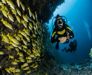 Гмуркане на Халкидики за двама начинаещи: Discover Scuba Diving