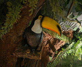 Welcome to the Jungle: Jumanji Escape Room for five