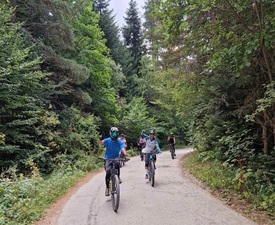 Двучасов тур с ел. колело за двама + пица/бургер и напитка по избор за всеки край Боровец