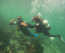 На среща с подводния свят с Гмуркане за двама в района на Тюленово от Rock Diving