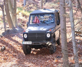 В дома на дивите животни с Горско сафари за двама край Ихтиман 