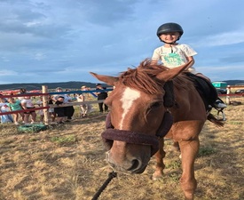 Разходка с кон за двама сред природата в Радомир - 60 мин.