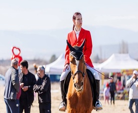 На среща с конете и природата с Конна езда на манеж в Радомир - 60 мин.