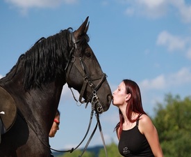 На среща с конете и природата с Конна езда на манеж за двама в Радомир - 30 мин.