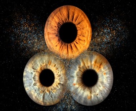  Ирисова фотография в Стара Загора – изкуство, скрито в очите - Заснемане на три ириса в рамка