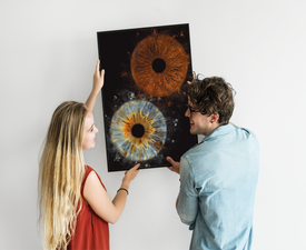 Ирисова Фотография край Бургас – заснемане на два ириса в рамка