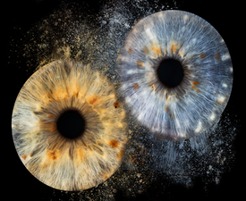 Изкуство и индивидуалност с Ирисова фотография в Русе - заснемане на два ириса