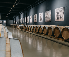 Магура – пещерен винен тур и дегустация на селекция от 6 вина за четирима в изба Магура, с. Рабиша, област Видин