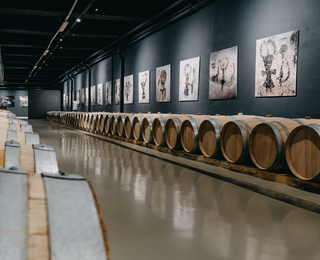 Опитайте виното, родено в пещерата, с Винен тур и дегустация на 6 вина за четирима в изба Магура, с. Рабиша, област Видин