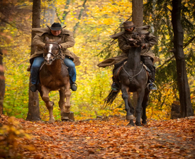 Разходка с кон в полите на Витоша - за двама