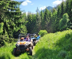 Пролетно сафари RZR край Пампорово за трима души
