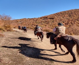 Конен преход за 4 часа + обяд или вечеря в юрта в конен двор Странник, Карлово   