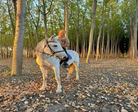 Разходка с кон за четирима сред природата + посещение на ферма ТАРА в района на Пловдив