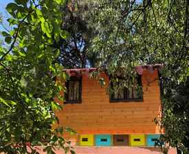 Become part of the hive with "Bee Room" - for two