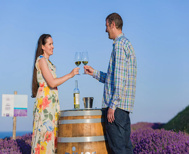 Специален винен и исторически тур за трима в ДиВес Естейт, Поморие