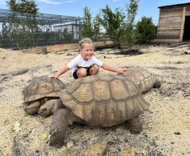 В царството на животните: Посещение за двама + 1 дете на 2-14 г. в зоопарк Бургас 