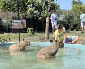 В царството на животните: Посещение за двама + 2 деца на 2-14 г. в зоопарк Бургас 