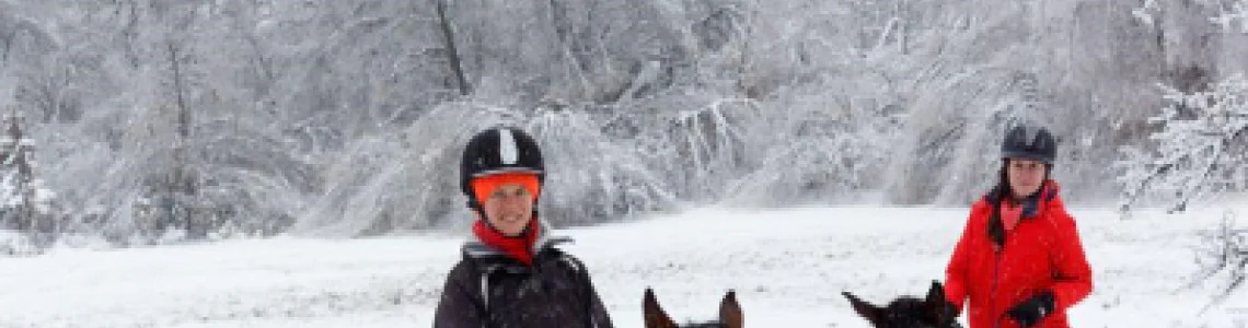 Зимна езда в бяло: Докосване до магията на природата Зимна езда в бяло: Докосване до магията на природата
