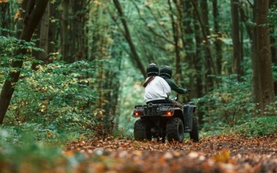 Spring Begins From Within: 7 Experiences That Will Awaken the Season in You Right Now