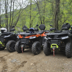 In the forests of Zlatograd: 1-hour off-road ATV ride for one person In the forests of Zlatograd: 1-hour off-road ATV ride for one person