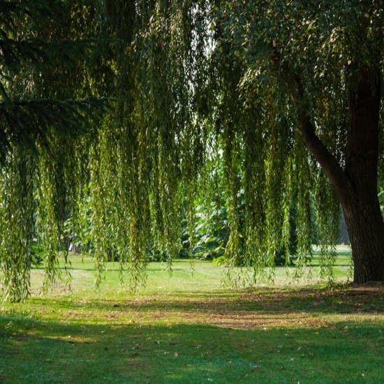 Забавление и релакс с Урок по голф в Голф клуб „Air Sofia“ от Makaroon Забавление и релакс с Урок по голф в Голф клуб „Air Sofia“ от Makaroon
