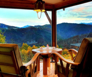 Escape from the city