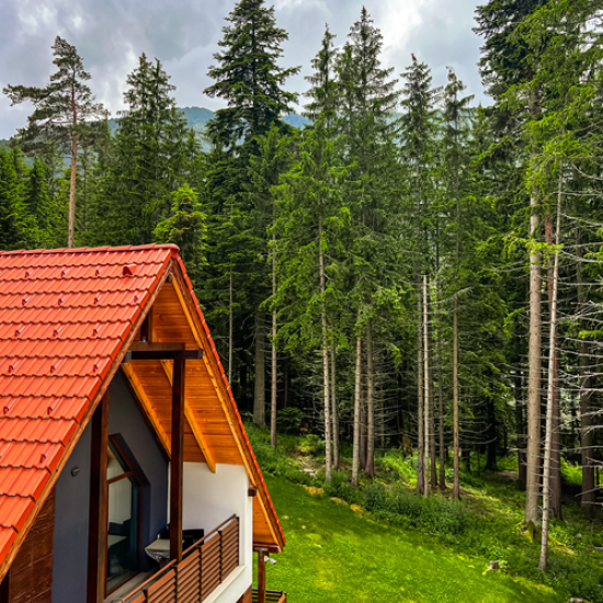 Подарете си заслужена спа почивка, споделена с любимия човек, с Тайно пътуване в Рила планина от Makaroon