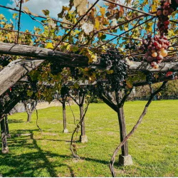 Тайно пътуване назад във времето „Възраждането на едно българско село“ Тайно пътуване назад във времето „Възраждането на едно българско село“