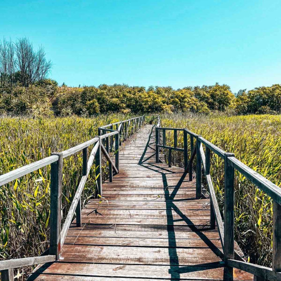 Тайно пътуване за двама - Из дивия свят на Черноморието от Макароон