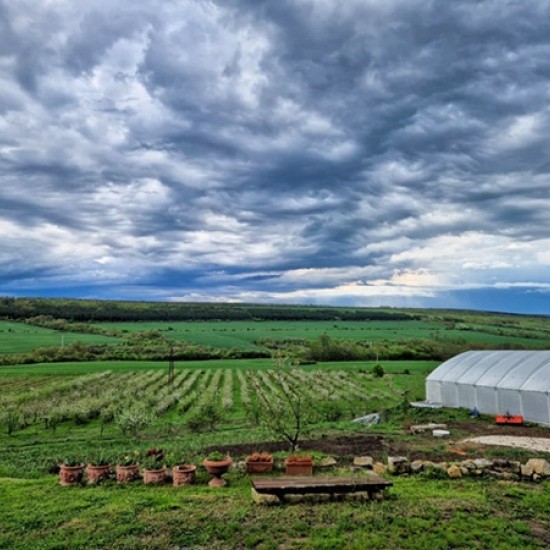 Пълноценна почивка и свързване със себе си с Нощувка за двама в Спа Хотел Carpe Diem от Makaroon