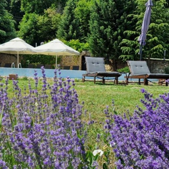 Пълноценна почивка и свързване със себе си с Нощувка за двама в Спа Хотел Carpe Diem от Makaroon