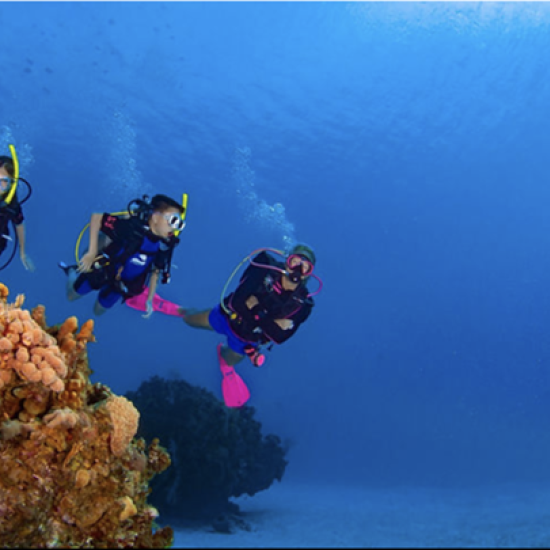 Щуро лято за всяко дете с 4-дневен водолазен курс в Созопол от Makaroon Щуро лято за всяко дете с 4-дневен водолазен курс в Созопол от Makaroon