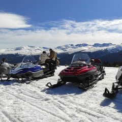 Подари зимно приключение - Преход с моторна шейна в района на Витоша или Рила планина