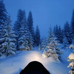 Подари екстремно нощно каране на моторна шейна за един човек в района на Южна Витоша