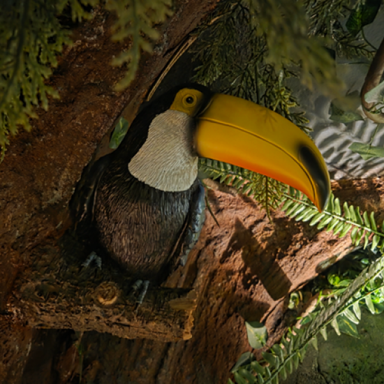 Get in the game with the Jumanji Escape Room for Two from Makaroon