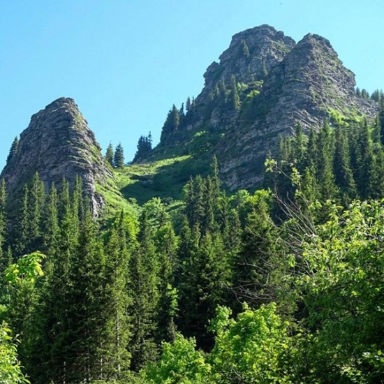 Потопете си в атмосферата на Чипровския Балкан с офроуд тур с джип + обяд и посещение на килимарска работилница и пивоварна от Makaroon Потопете си в атмосферата на Чипровския Балкан с офроуд тур с джип + обяд и посещение на килимарска работилница и пивоварна от Makaroon