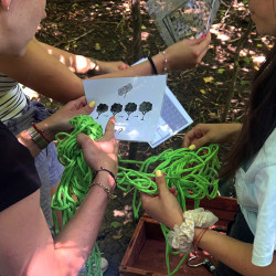 Forest Quest приключенска игра за 5 човека на Витоша планина!