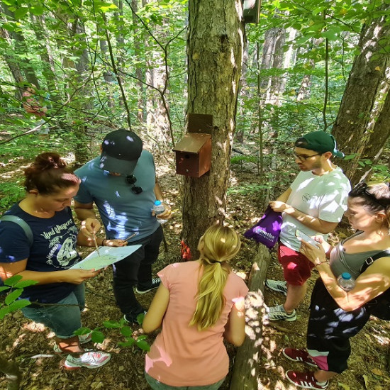 Forest Quest приключенска игра на Витоша планина от Макароон Forest Quest приключенска игра на Витоша планина от Макароон