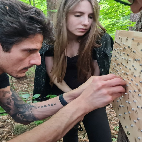 Forest Quest приключенска игра на Витоша планина от Макароон Forest Quest приключенска игра на Витоша планина от Макароон
