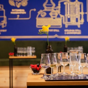 Дегустация на 7 вида джин - преживяване за ентусиасти